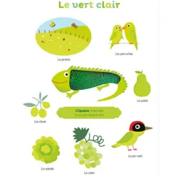 Livre Mes premières couleurs à toucher Imagier