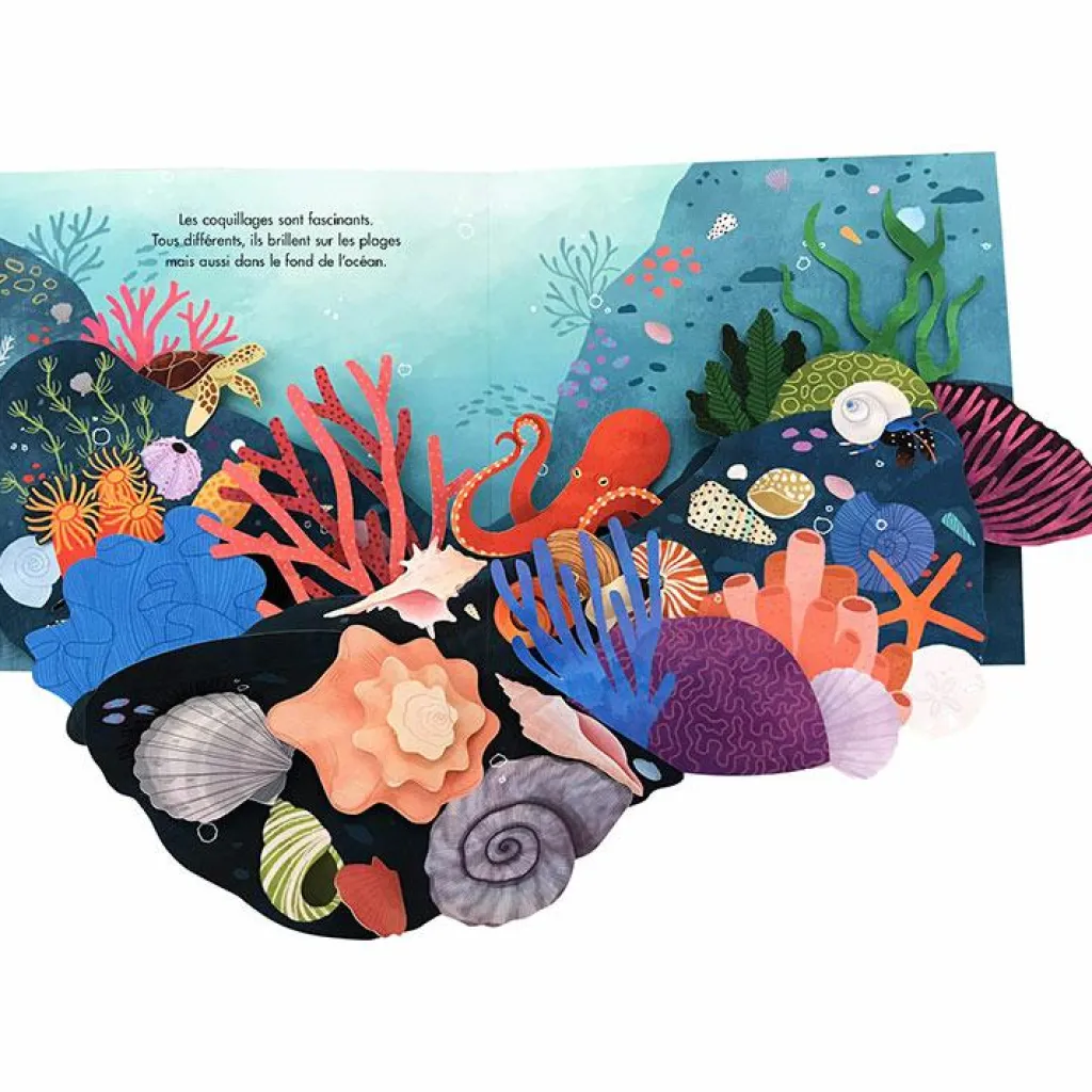 Enfant Editions Kimane Livre pop-up Trésors de l'Océan
