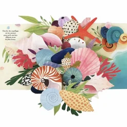 Enfant Editions Kimane Livre pop-up Trésors de l'Océan
