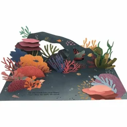 Enfant Editions Kimane Livre pop-up Trésors de l'Océan