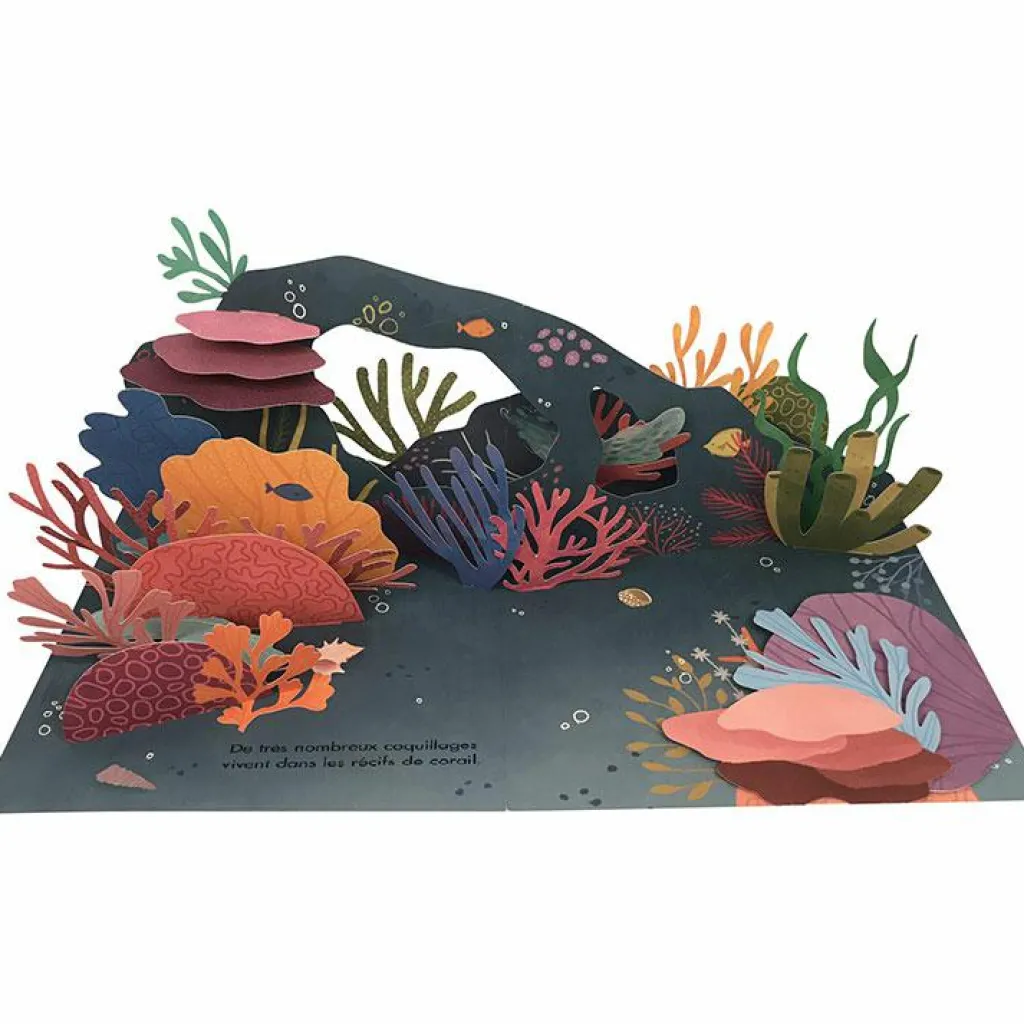 Enfant Editions Kimane Livre pop-up Trésors de l'Océan