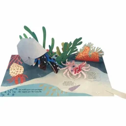 Enfant Editions Kimane Livre pop-up Trésors de l'Océan