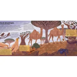 New Livre sonore Le monde des forêts (collection Les sons de la nature) Enfant Livre Enfant