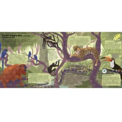 New Livre sonore Le monde des forêts (collection Les sons de la nature) Enfant Livre Enfant