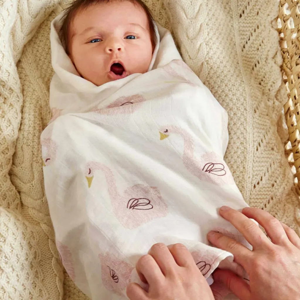 Hot Lot 3 langes cygne Little Water (80 x 80 cm) Lange