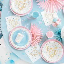 Party Deco Lot de 6 assiettes garçon ou fille (23 cm)