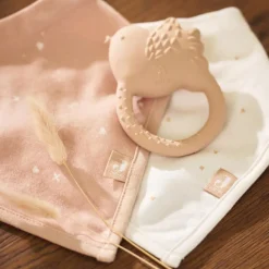 Jollein Lot de 2 bavoirs bandana Twinkling Wild Rose