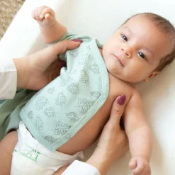 Trois Kilos Sept Lot de 2 bodies Feuille (1 mois)