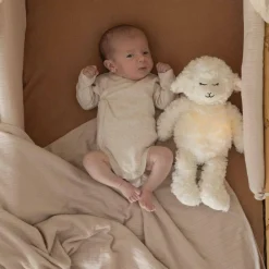 Trois Kilos Sept Lot de 2 bodies Ourson (3 mois)