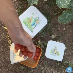 Discount Lot de 3 boîtes à goûter Pierre Lapin Boîte À Goûter / Lunch Box