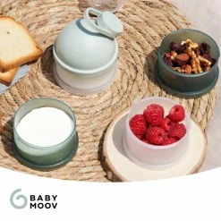 Babymoov Lot de 4 boîtes doseuses Babydose Mineral Green