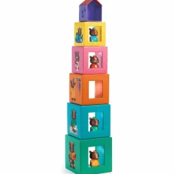 Djeco Lot de 5 cubes TopaniHouse