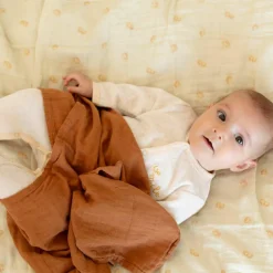 Outlet Lot de 3 langes en mousseline Diplododo (70 x 70 cm) Lange