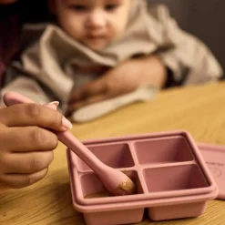 Outlet Lot de 2 moules de conservation Rose Pots De Conservation