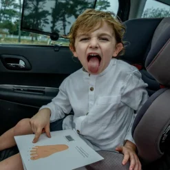 Best Lot de 2 pare-soleil à ventouse Pare-Soleil Voiture