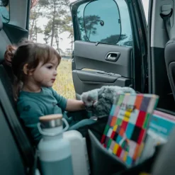 Ezimoov Lot de 2 pare-soleil à ventouse Ezi Sun Stoppers