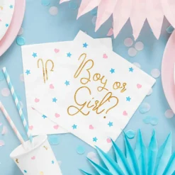 Discount Lot de 20 serviettes Boy or Girl? (33 x 33 cm) Serviettes En Papier