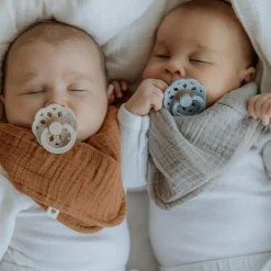 BIBS Lot de 2 sucettes en latex Bohème Ivory-Sage (6-18 mois) - Reconditionné