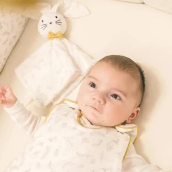 Domiva Lot doudou plat + anneau de dentition Leafy Bunny