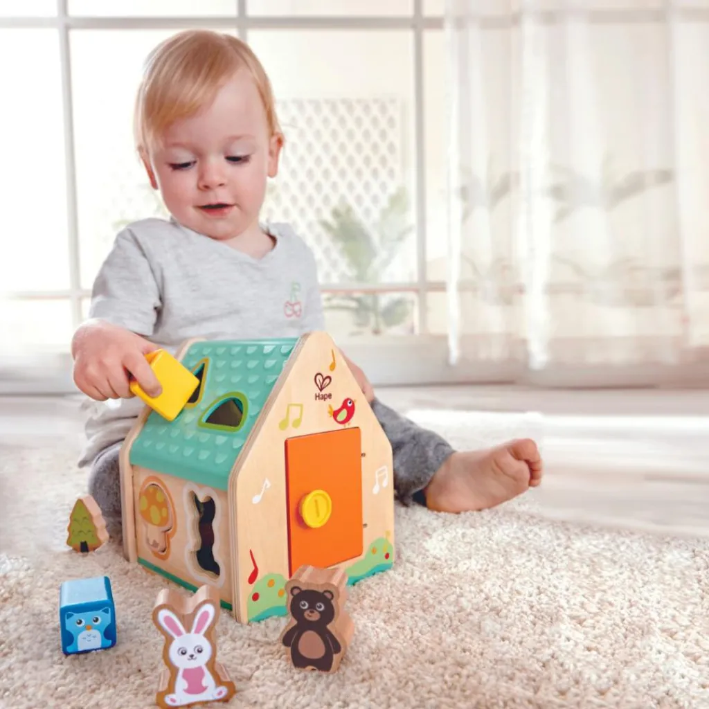 Hape Maison trieuse de formes Les amis de la forêt