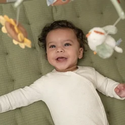 Little Dutch Mobile musical Little Farm