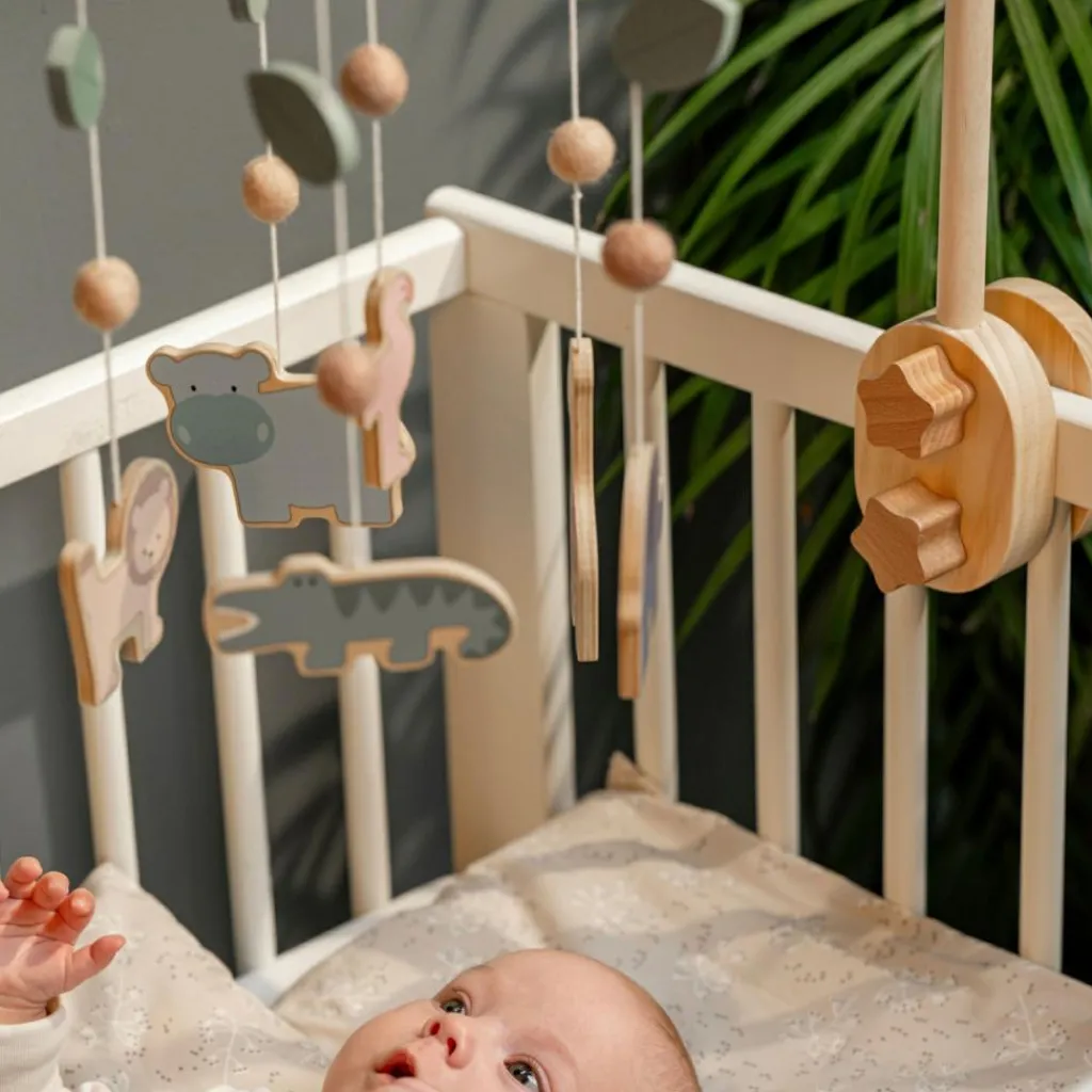 Jabadabado Mobile safari