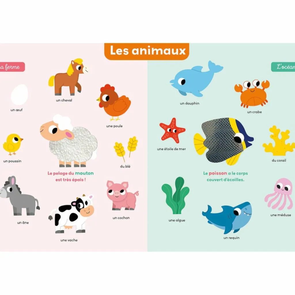 Auzou Editions Mon premier imagier à toucher