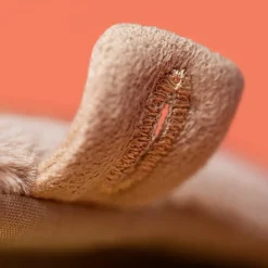 Online Peluche Amuseable Coffre au Trésor (19 cm) Petite Peluche (< 20 Cm)