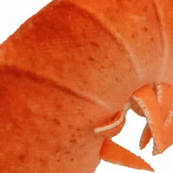 Bazuuyu Peluche Barbecue Langouste (30 cm)