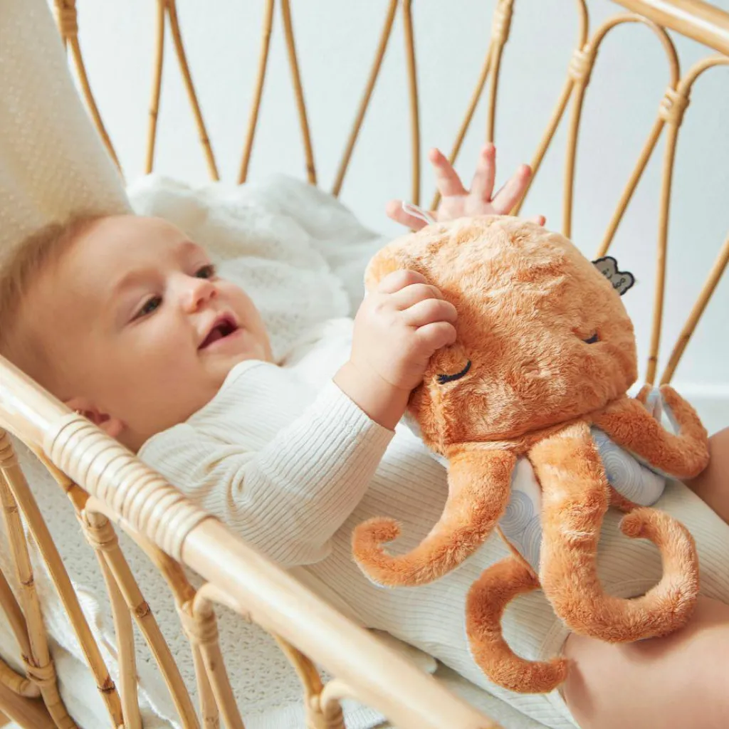 Kaloo Peluche bouillotte bien-être poulpe Petit calme (28 cm)