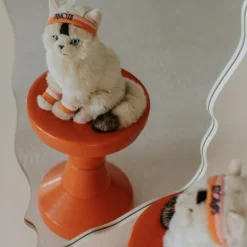 BT Chaps Peluche Dolly le Ragdoll (32 cm)