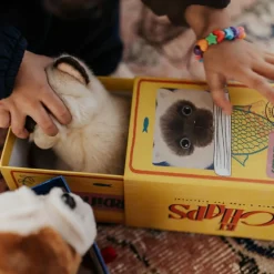 BT Chaps Peluche Eddie le Siamois (17 cm)