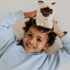 BT Chaps Peluche Eddie le Siamois (17 cm)