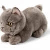BT Chaps Peluche Freddy le Brittish Shorthair (20 cm)
