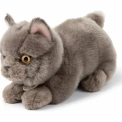 BT Chaps Peluche Freddy le Brittish Shorthair (20 cm)
