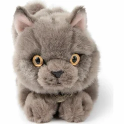 BT Chaps Peluche Freddy le Brittish Shorthair (20 cm)