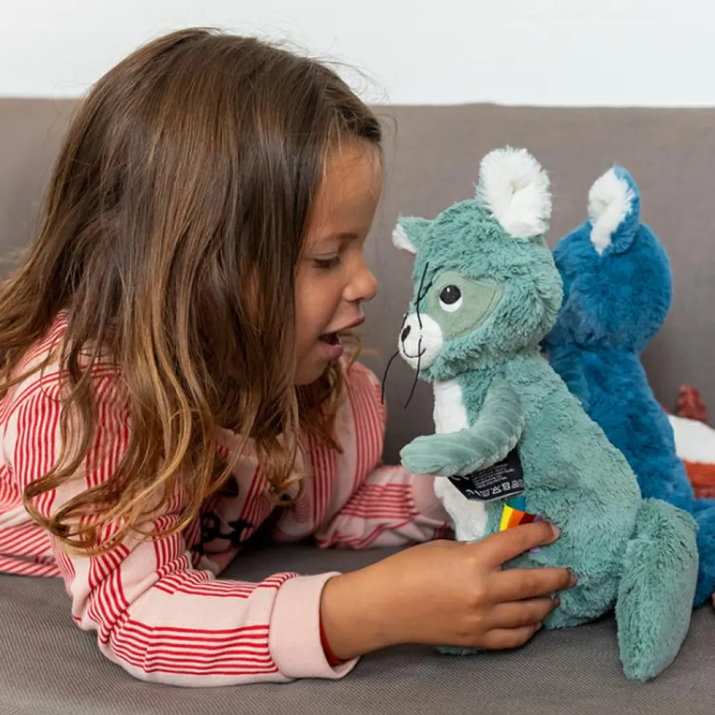 Les Déglingos Peluche Les Ptipotos Netoitou le raton laveur vert (26 cm)