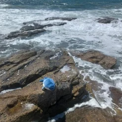 Trousselier Peluche Nemu Nemu Flip dauphin (54 cm)