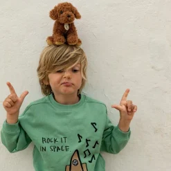 BT Chaps Peluche Stacy le Labdradoodle (17 cm)