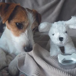 New Petit chien avec son sac Peluche Moyenne (20-59 Cm)