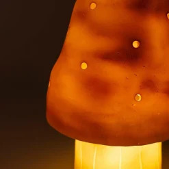 Egmont Toys Petite lampe veilleuse champignon Petit Terra