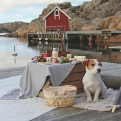 Jabadabado Pique-nique en Provence