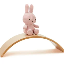 Observe Édition Planche d'équilibre avec ses 10 cartes de Yoga