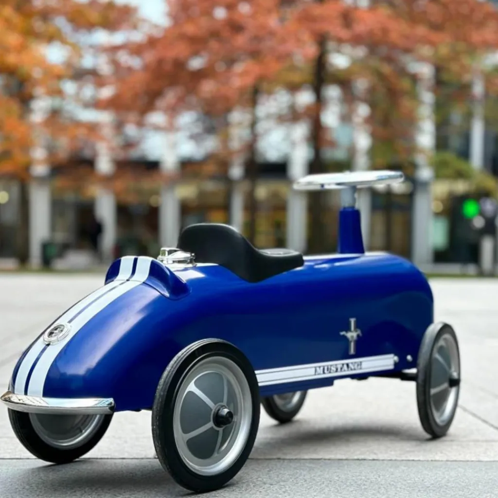 Baghera Porteur Ford Mustang