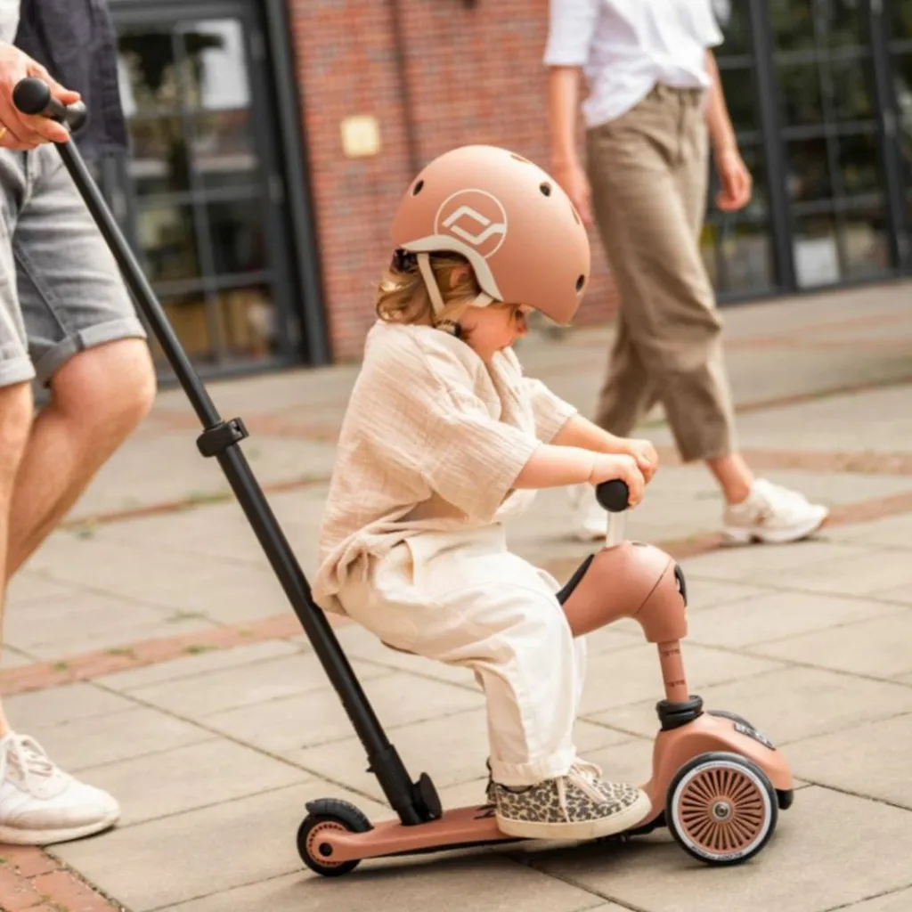 Online Porteur évolutif Highwaykick 1 Push and Go Mocha Porteur Évolutif En Trottinette