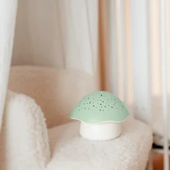 Online Projecteur d'étoiles Champignon Vert - Reconditionné Projecteur D'Ambiance