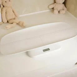 Alecto Pèse-bébé numérique avec plateau amovible
