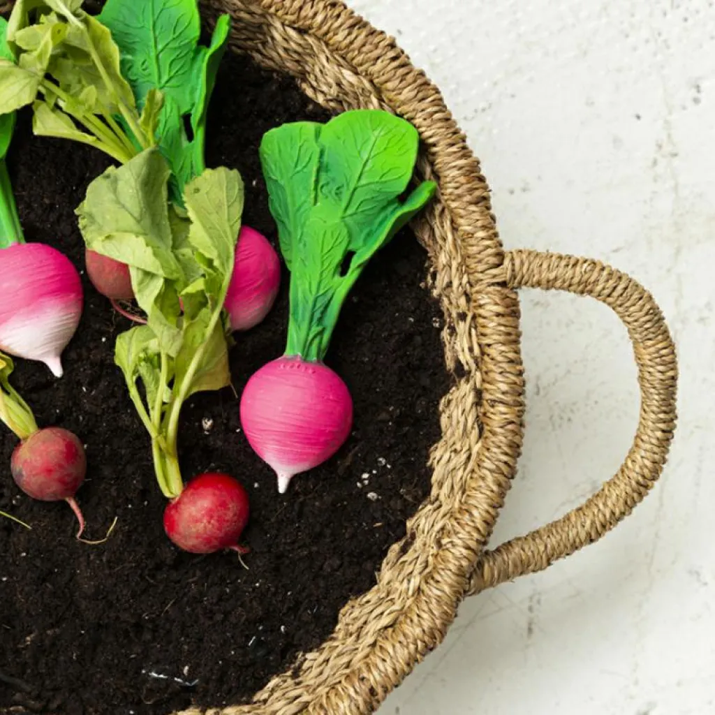 Oli & Carol Ramona le radis en latex d'hévéa