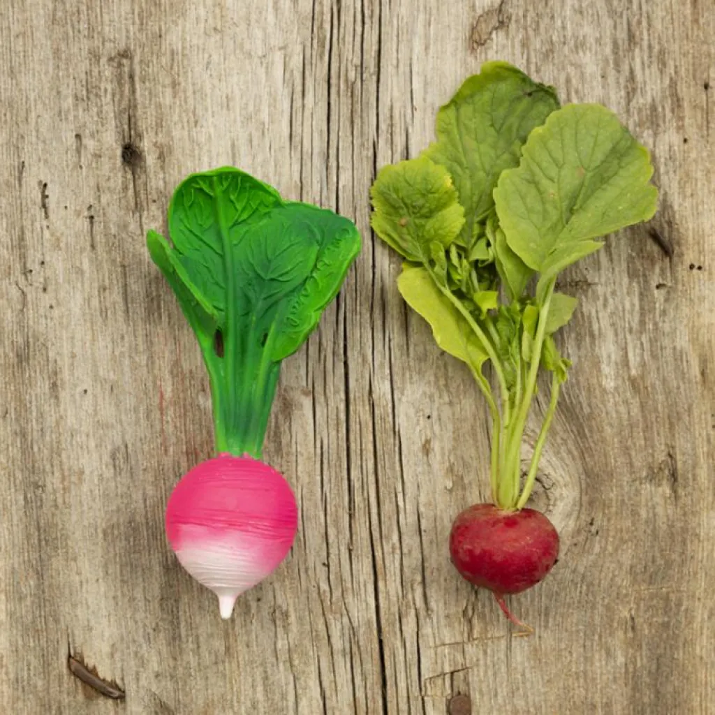 Oli & Carol Ramona le radis en latex d'hévéa