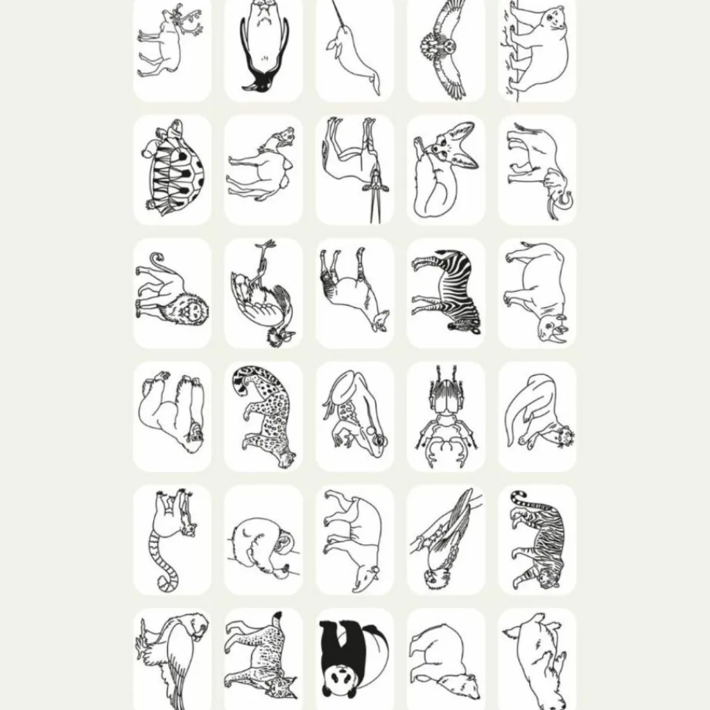 KIDYWOLF Recharge KIDYDRAW-MINI Thème : Pirates Princesses et Animaux Sauvages